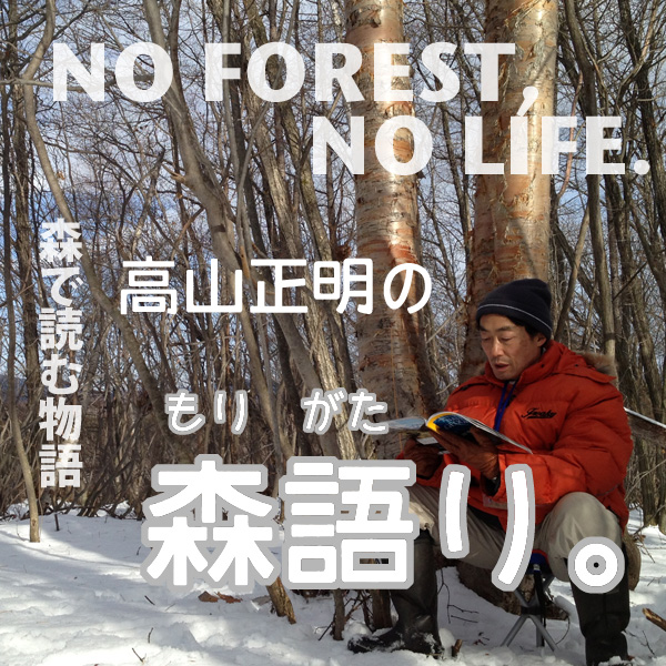 NO FOREST, NO LIFE.